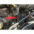 CUMMINS QSB3.3 Engine Assembly thumbnail 8