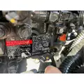 CUMMINS QSB3.3 Engine Assembly thumbnail 9