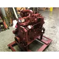 CUMMINS QSB5.9 Engine thumbnail 1