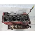 CUMMINS QSB Engine Assembly thumbnail 11