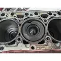 CUMMINS QSB Engine Assembly thumbnail 12