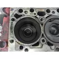 CUMMINS QSB Engine Assembly thumbnail 13