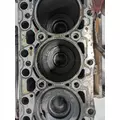 CUMMINS QSB Engine Assembly thumbnail 14