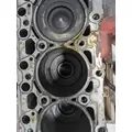 CUMMINS QSB Engine Assembly thumbnail 15