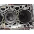 CUMMINS QSB Engine Assembly thumbnail 16