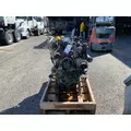 CUMMINS QSF3.8 Engine Assembly thumbnail 5