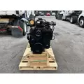 CUMMINS QSL9 Engine Assembly thumbnail 3