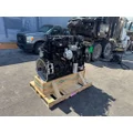 CUMMINS QSX11.9 Engine Assembly thumbnail 9