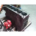 CUMMINS QSX15 CYLINDER BLOCK thumbnail 2