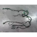 CUMMINS QSX15 ENGINE WIRING HARNESS thumbnail 1