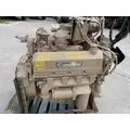 CUMMINS V-555 V8 Engine Assembly thumbnail 4