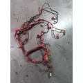 CUMMINS X12 EPA 17 ENGINE WIRING HARNESS thumbnail 1