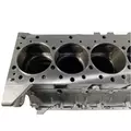 CUMMINS X15 Cylinder Block thumbnail 16