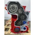 CUMMINS X15 Engine Assembly thumbnail 9
