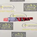 CUMMINS X15 Timing Gears thumbnail 5