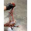 CUMMINS isx Engine Wiring Harness thumbnail 3