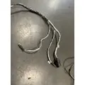 CUMMINS isx Engine Wiring Harness thumbnail 5