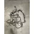 CUMMINS  Engine Wiring Harness thumbnail 2