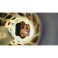 Capacity of Texas TJ5000 Fuel Tank thumbnail 6