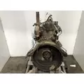 Case D188 Engine Assembly thumbnail 5