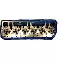 New Cylinder Head CAT C12 for sale thumbnail