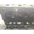 Caterpillar 3116 Cylinder Head thumbnail 10