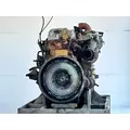 Caterpillar 3116 Engine Assembly thumbnail 9