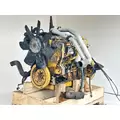 Caterpillar 3116 Engine Assembly thumbnail 9