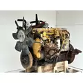 Caterpillar 3116 Engine Assembly thumbnail 5