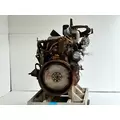 Caterpillar 3116 Engine Assembly thumbnail 9