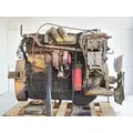 Caterpillar 3116 Engine Assembly thumbnail 3
