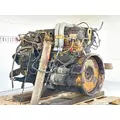 Caterpillar 3116 Engine Assembly thumbnail 7