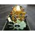 Caterpillar 3116 Engine Assembly thumbnail 4