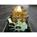 Caterpillar 3116 Engine Assembly thumbnail 4