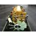 Caterpillar 3116 Engine Assembly thumbnail 4
