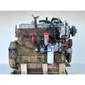 Caterpillar 3126 Engine Assembly thumbnail 5