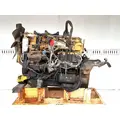 Caterpillar 3126 Engine Assembly thumbnail 9