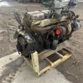 Caterpillar 3176B Engine Assembly thumbnail 7