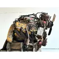 Caterpillar 3208 Engine Assembly thumbnail 7