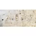 Caterpillar 3406 Flywheel Housings thumbnail 5