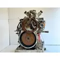 Caterpillar C12 Engine Assembly thumbnail 13