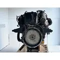 Caterpillar C13 Engine Assembly thumbnail 7