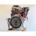 Caterpillar C15 Engine Assembly thumbnail 10