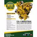 Caterpillar C4.4 Engine Assembly thumbnail 2
