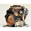 Caterpillar C7 Engine Assembly thumbnail 9