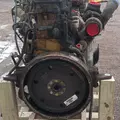 Caterpillar C7 Engine Assembly thumbnail 8