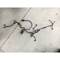 Caterpillar C7 Engine Wiring Harness thumbnail 1