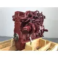 Cnh - Case ISB6.7 Engine Assembly thumbnail 2