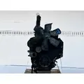 Cummins 3.9 4B Engine Assembly thumbnail 6