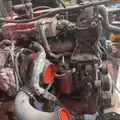 Cummins 6.7-10 Engine Assembly thumbnail 11
